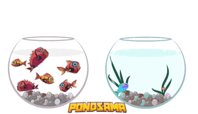 a cartoon illustration of fish in a bowl with the word pondsama below it