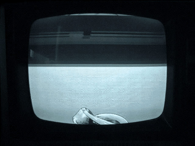 a black and white image of a snake on a television