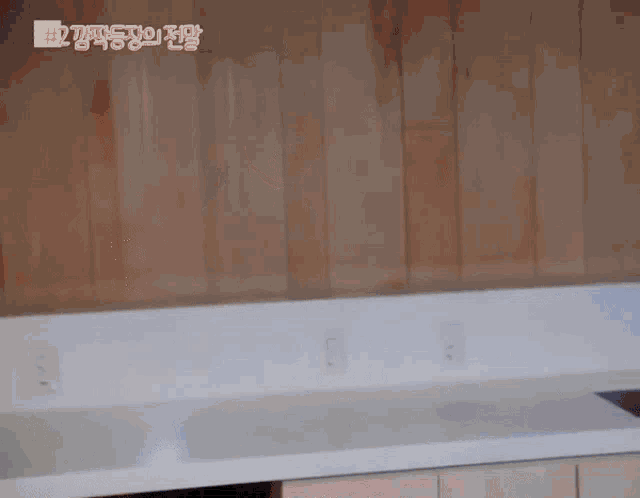 a picture of a kitchen with a foreign language caption