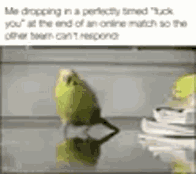 a green bird is standing on a table next to a reflection of itself .