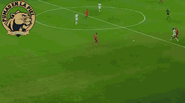 a pumas en la piel logo is displayed on a soccer field