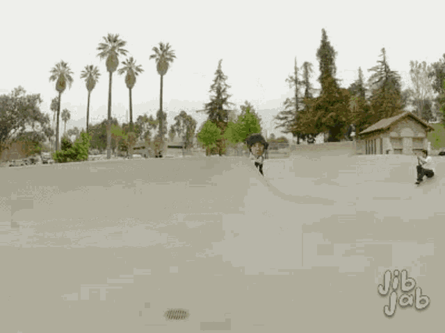a person is riding a skateboard on a ramp in a park .