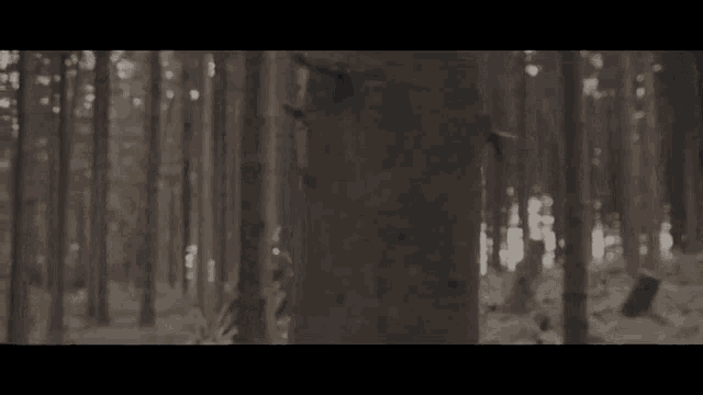 a man with long blonde hair is standing in a forest .