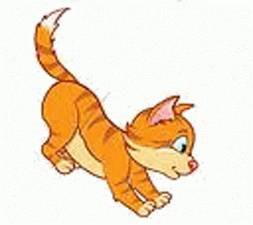 Cats Run GIF - Cats Run Excited GIFs