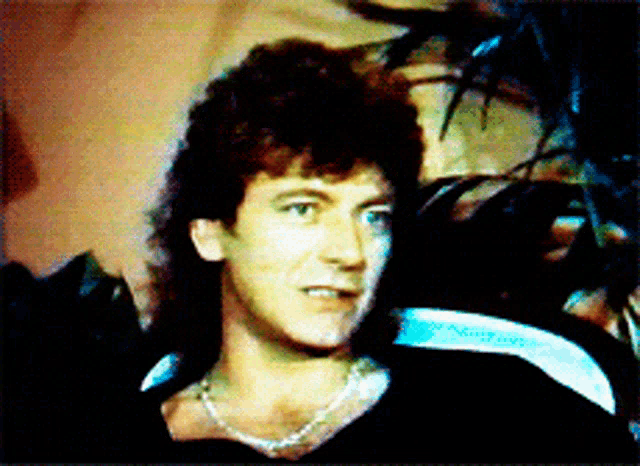 a man with a mullet is wearing a necklace and a black shirt