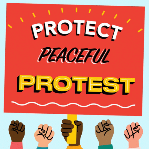 Protect Peaceful Protest Protest Peacefully GIF