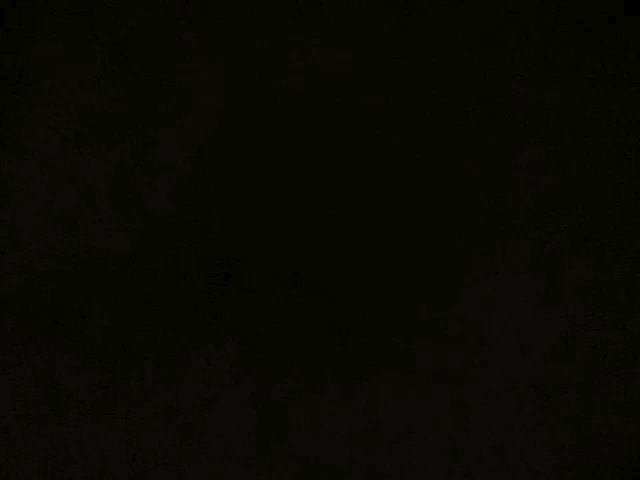 a black background with the words trivia mider peperty written on it