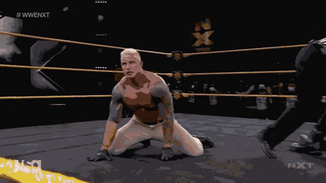 a man in a wrestling ring with a usa logo in the corner