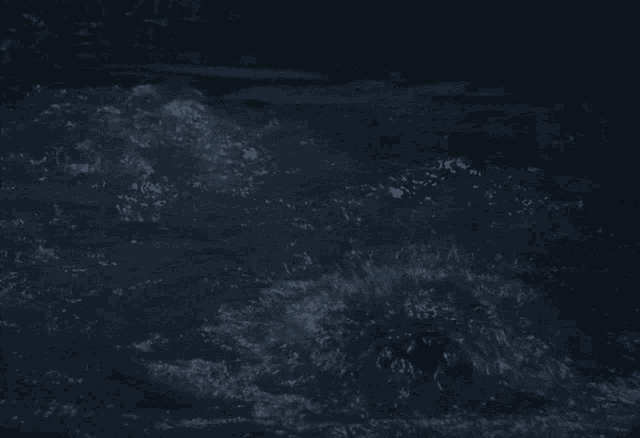 a black bear is swimming in a dark pool of water