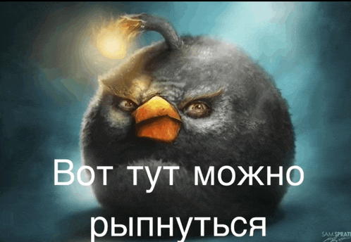 a picture of an angry bird with the words bot tut moxho ryiphnvtca