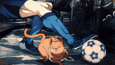 a cartoon of a person kicking a soccer ball and a cat