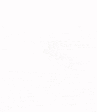 a person is flying through the air with a chicken behind them .