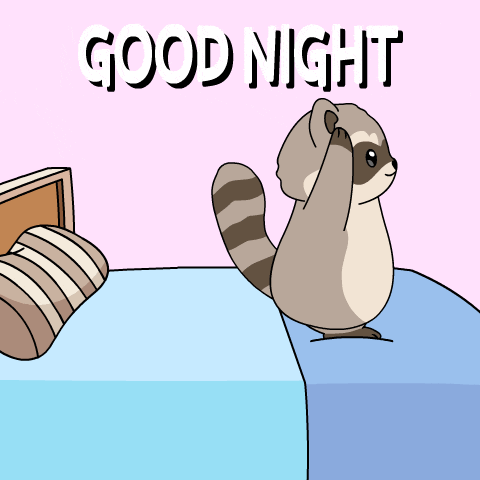 a cartoon of a raccoon standing on a bed with the words good night above it