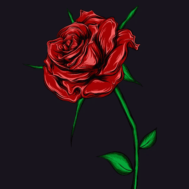 a drawing of a red rose with green leaves