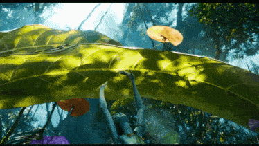 a cartoon character is holding a large green leaf in a forest