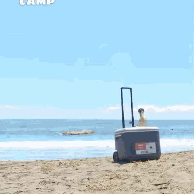 a person is standing on a beach with a cooler and an umbrella