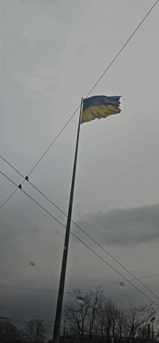 a blue and yellow flag on a pole with a cloudy sky in the background
