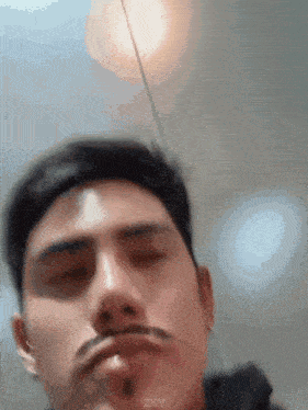 a man with a mustache is taking a picture of himself