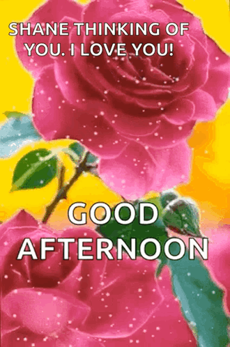 Good Afternoon GIF - Good Afternoon Good Afternoon GIFs