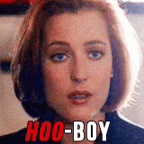Xfiles Scully GIF - Xfiles Scully Bad GIFs
