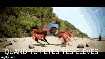a picture of a crab on a beach with the words quand tu petes tes eleves