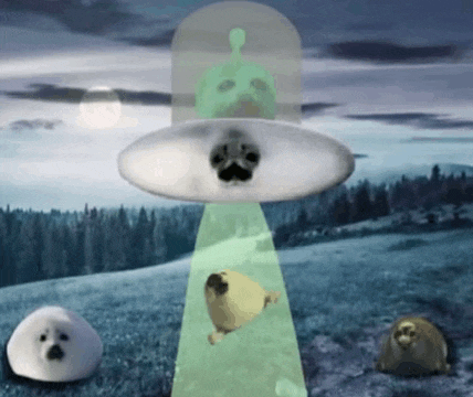 a group of seals are being abducted by an alien