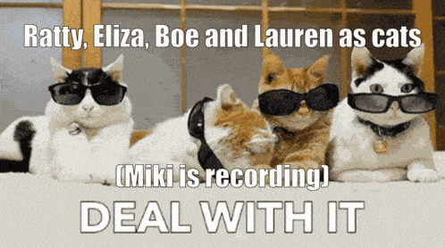 a group of cats wearing sunglasses with the words ratty eliza boe and lauren as cats