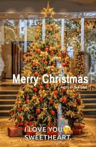 Xmas Merry Christmas And A Happy New Year GIF - Xmas Merry Christmas And A Happy New Year Christmas GIFs