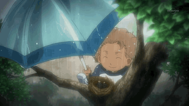 a boy in a tree holding an umbrella with a tv japan logo behind him