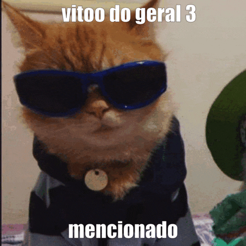a cat wearing sunglasses and a sweater with the words vitoo do geral 3 mentionado