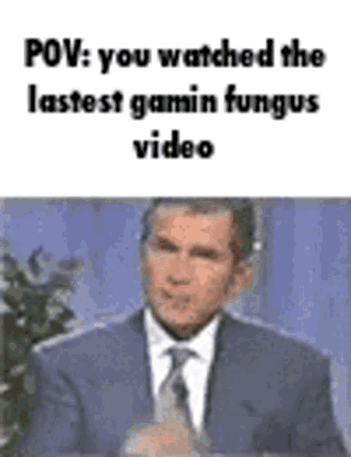 a man in a suit and tie is giving a speech in front of a plant .