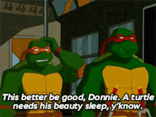 two teenage mutant ninja turtles are standing next to each other and one of them says this better be good donnie