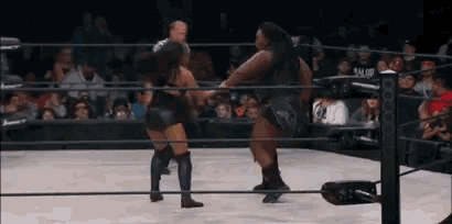 two women are wrestling in a ring with a crowd in the background .