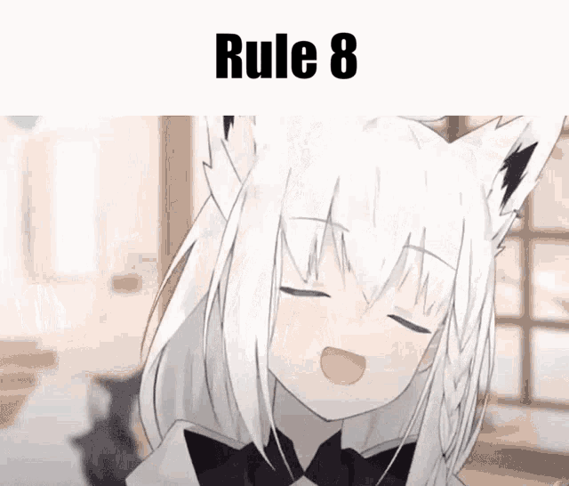 Rule8 Shirakami GIF - Rule8 Shirakami Fubuki GIFs
