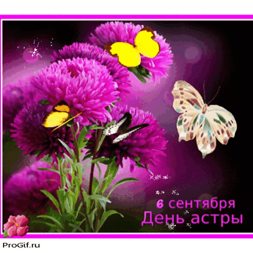 a greeting card with purple flowers and butterflies and the date 6 september
