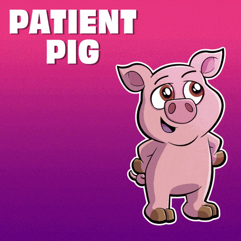 a cartoon pig is standing in front of a purple background that says " patient pig "