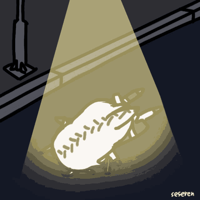 a cartoon drawing of a sheep with a light shining on it and the word seseren below it