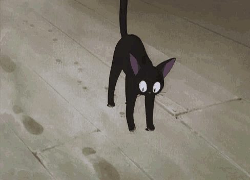 a black cat is standing on a wooden floor looking at the camera .