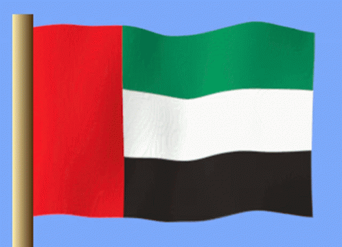 Birleşik Arap Emirliği GIF - Birleşik Arap Emirliği GIFs