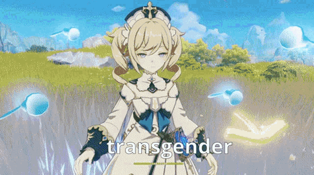 a transgender anime character is standing in a field with the words `` transgender '' written on the bottom .