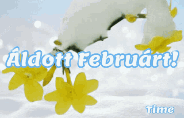 a greeting card with yellow flowers and the words " aldott februart "