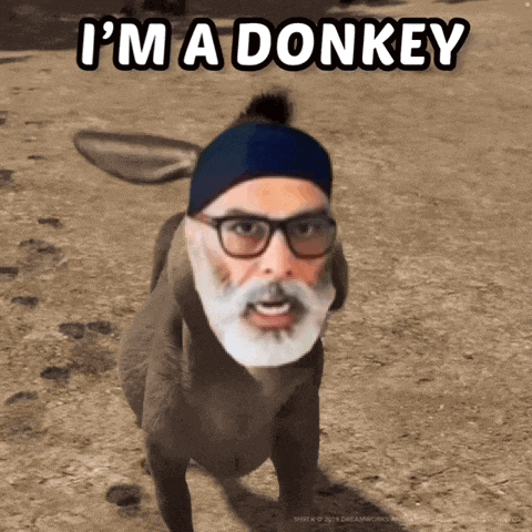a picture of a donkey with a man 's face on it