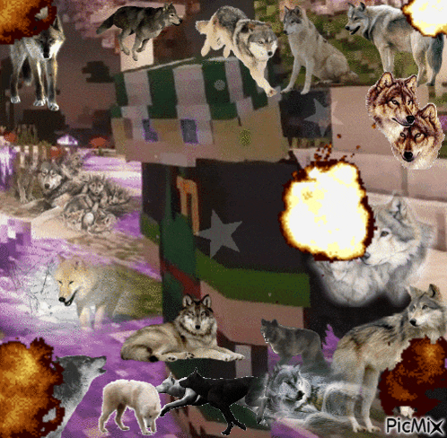 a collage of wolves and a minecraft character with the word picmix on the bottom