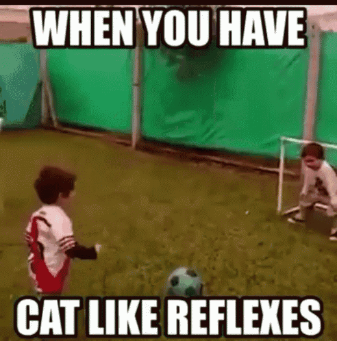 Cat Reflex GIF - Cat Reflex Soccer GIFs
