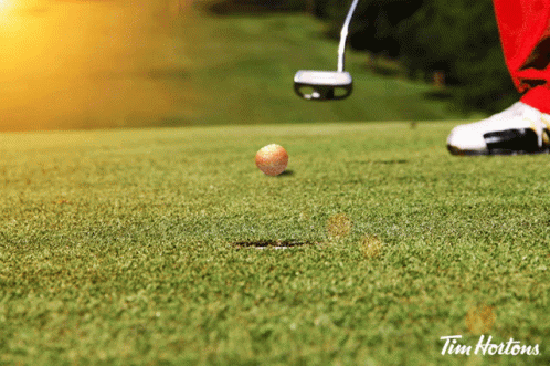 Tim Hortons Timbit GIF - Tim Hortons Timbit Golf GIFs