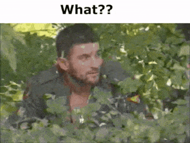 a man peeking out from behind a bush with the words `` what ? '' written above him .