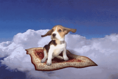 a dog is sitting on a flying carpet in the clouds
