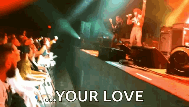 a group of people watching a concert with the words " your love " on the bottom right