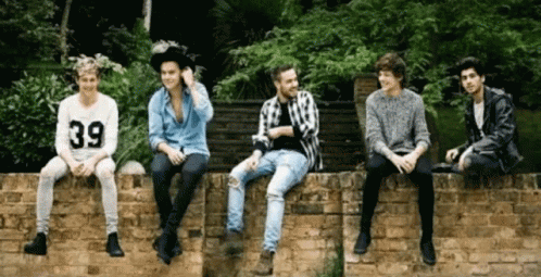 One Direction GIF - One Direction GIFs