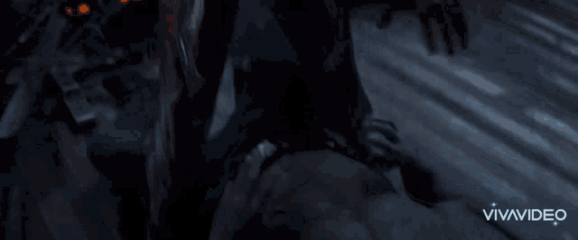 a close up of a person 's legs with the words vivavideo on the bottom